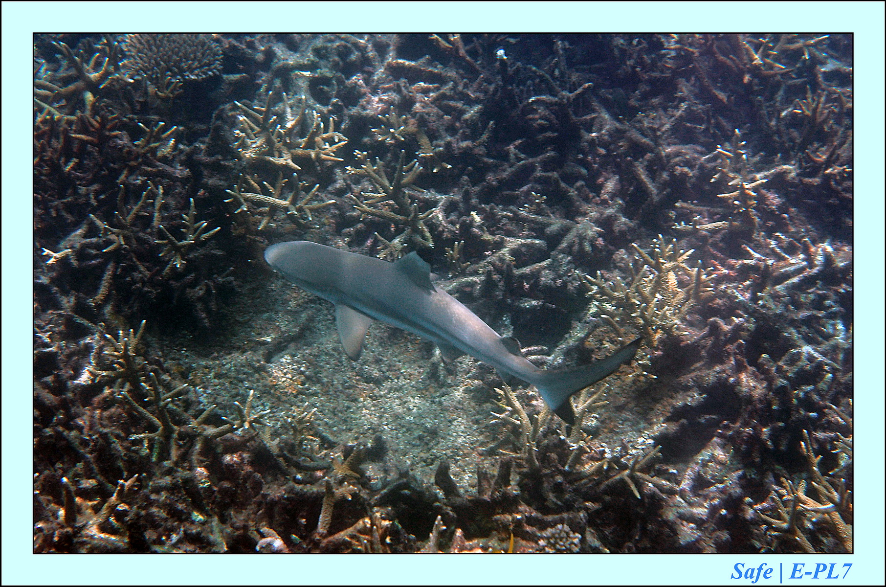 2015   07   Peranthian Islands 48